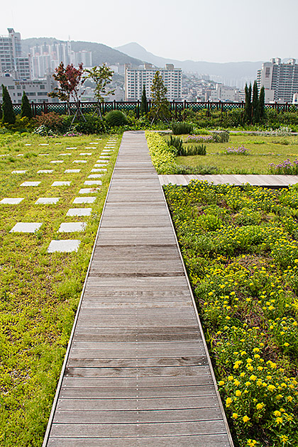 Roof Top Garden