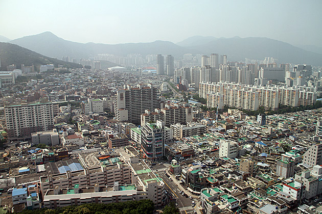 Roof Topping Korea