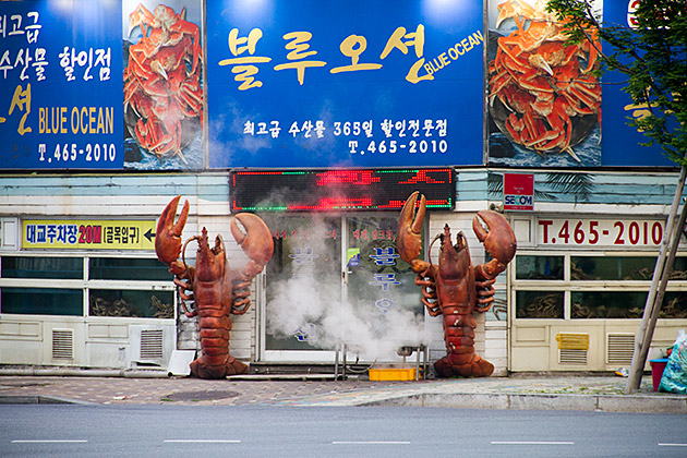 Steaming-Lobster-Busan