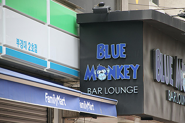 Blue Monkey Busan
