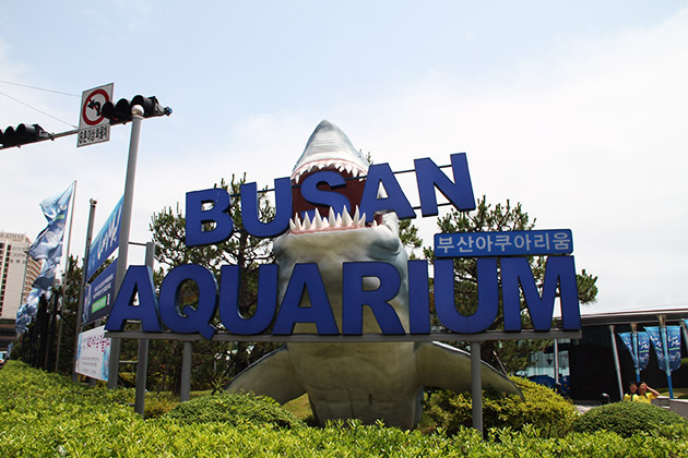 Read more about the article The Busan Aquarium