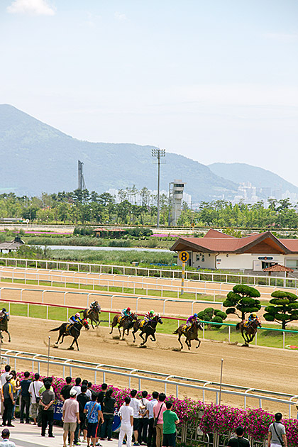 Read more about the article A Day at the Racetrack in Busan